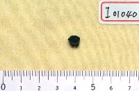 藏品(魚化石)的圖片